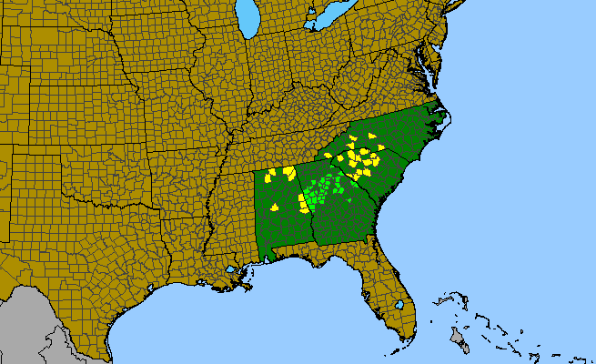 The range of Mononeuria uniflora